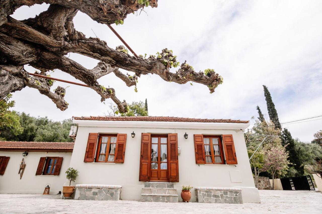 Kymanemi Zakynthos Cottage House Áno Yerakaríon Exteriör bild